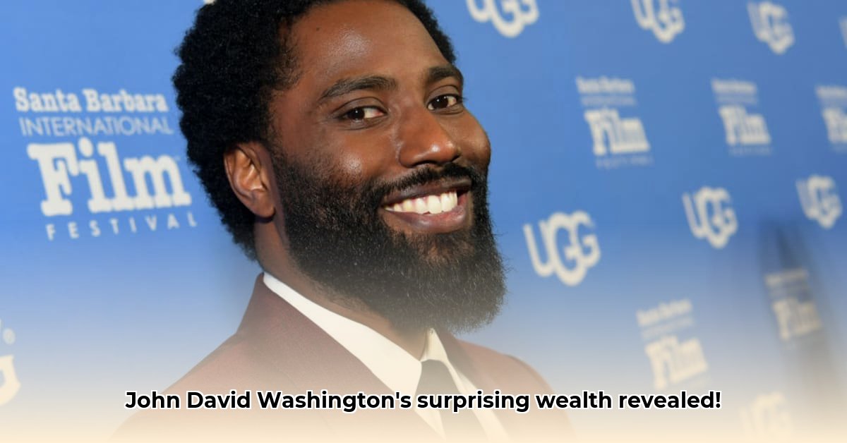 john-david-washington-net-worth